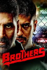 Brothers (2015)