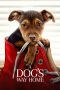 A Dog's Way Home (2019) Sub Indo