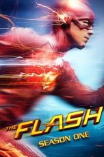 The Flash Season 1 (2014)