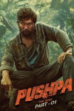 Pushpa The Rise - Part 1 (2021)