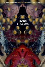 Living Still Life (2014)