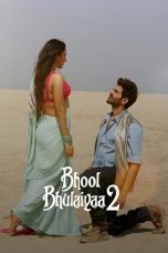 Bhool Bhulaiyaa 2 (2022)