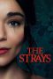 The Strays (2023)