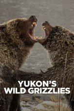 Yukon's Wild Grizzlies (2021)