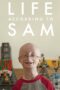 Life According to Sam (2013)