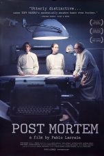 Post Mortem (2010)