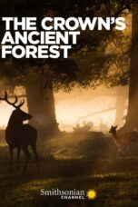 The Crown's Ancient Forest (2021)