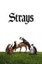 Strays (2023)