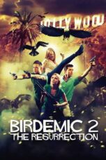 Birdemic 2 The Resurrection (2013)