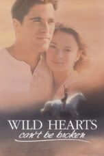 Wild Hearts Can't Be Broken (1991)