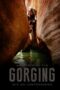 Gorging (2013)