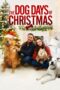 The Dog Days of Christmas (2022)